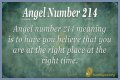 
ANGEL NUMBER 214
