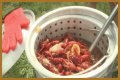 Cajun Fest moves to Iowa State Fairgrounds’ venue