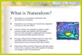 What is naturalism and its characteristics? – Janet-Panic.com